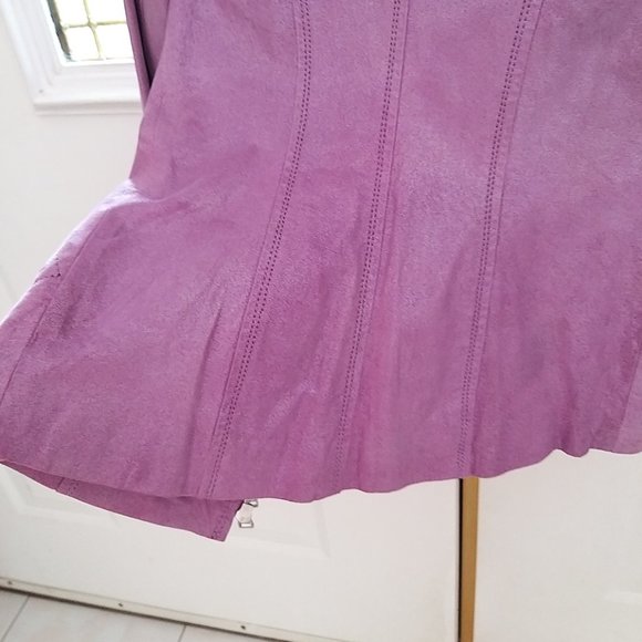 Danier Leather Jacket  Metallic Sheen 3XS  (XXXS) - Picture 7 of 15